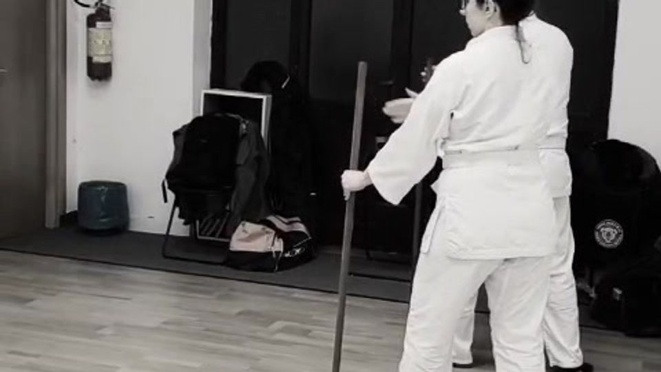 Aikijo...momenti di studio